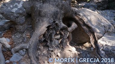 wawóz Samaria - Grecja - Kreta